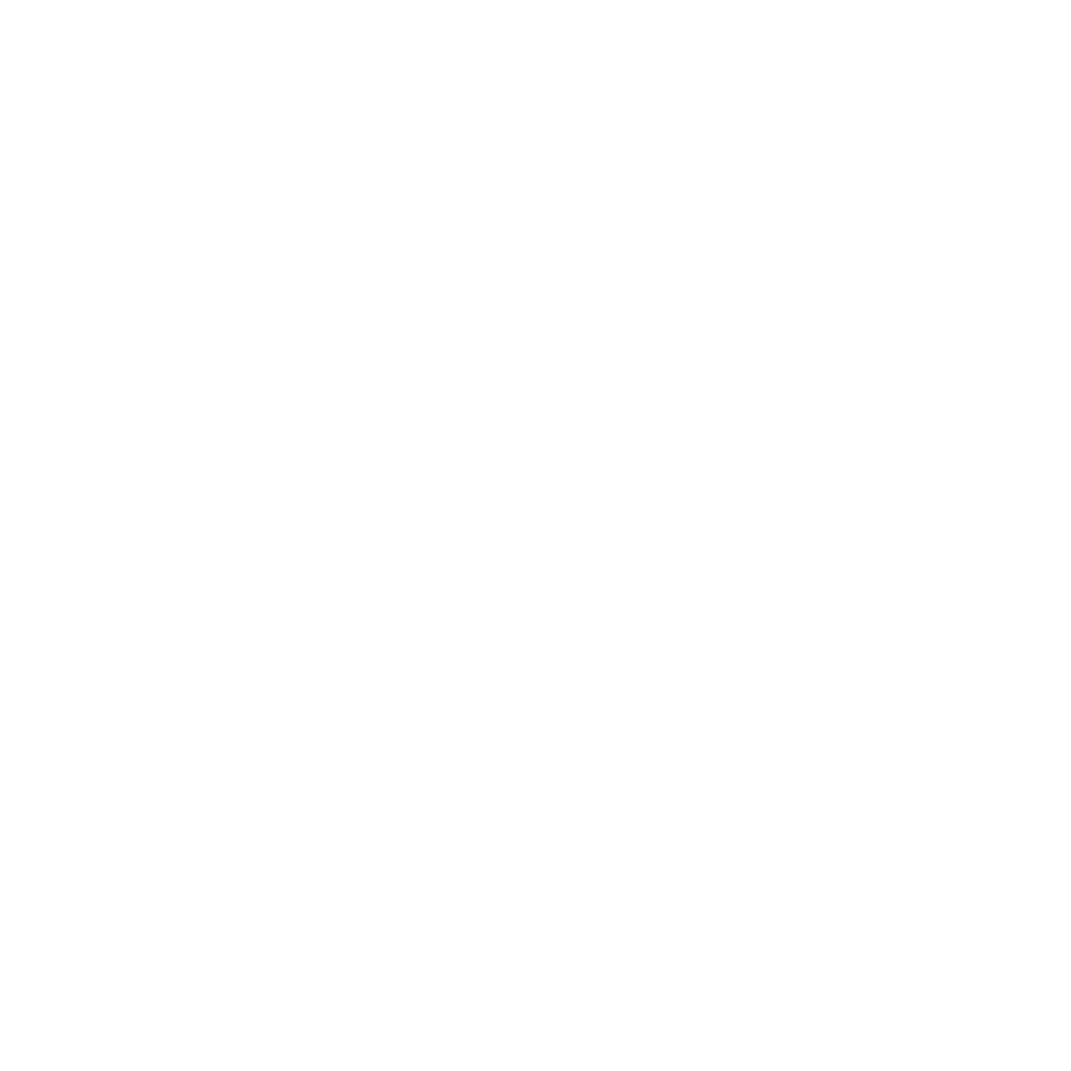 FlyElevate365